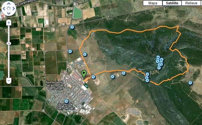 ruta